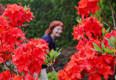 Close-up of red flowering plants against woman in background