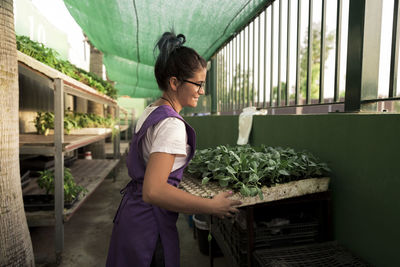 Side view of female owner carrying seedling tray in nursery