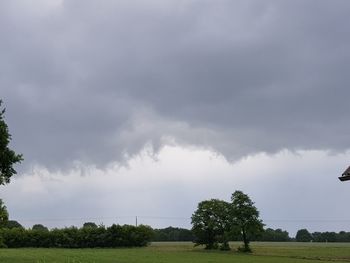 Trees on field against sky