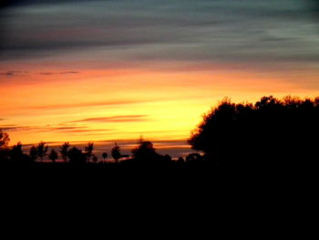 Silhouette trees against sky during sunset