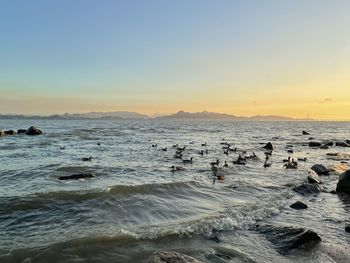 Scenic view of sea against sky during sunset