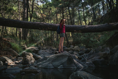 Man standing on rock in forest