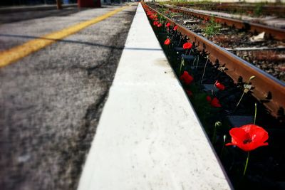 Surface level of empty road