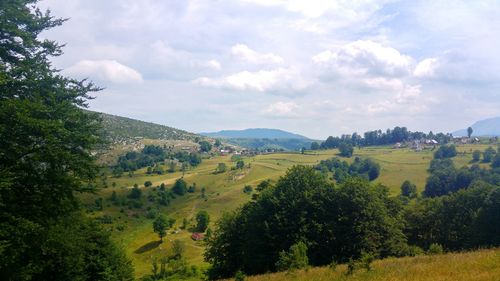 Scenic view of landscape against sky