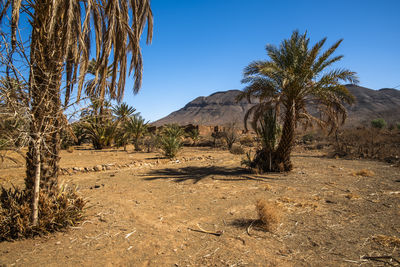 natural environment