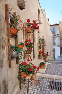 Flowery alley in the historic center of castel del monte abruzzo