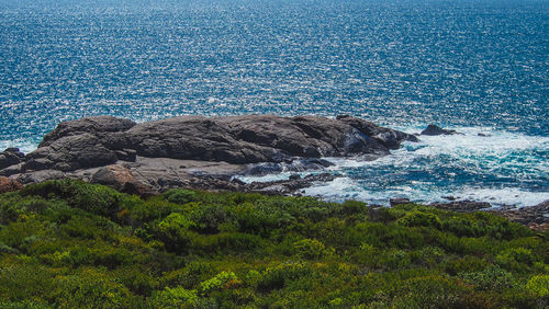 High angle view of rocks on beach