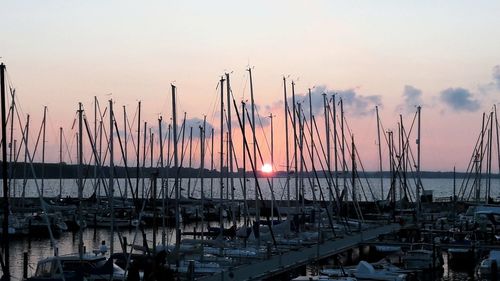 Sailboats in harbor at sunset