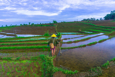 Rear view of woman walking on field against sky