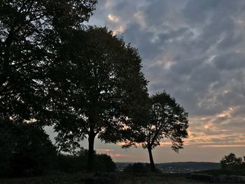 Silhouette tree against sky during sunset