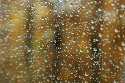 Full frame shot of wet glass