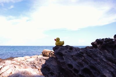 Scenic view of rocks on shore against sky