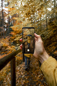 Cropped hand of person holding mobile phone in forest