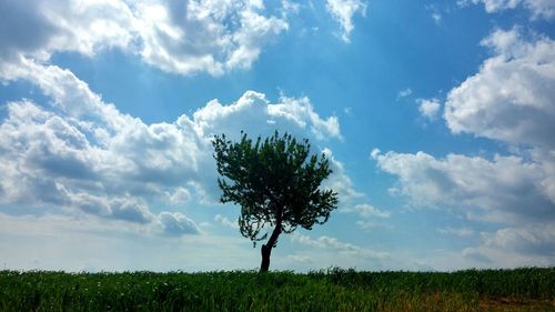 Scenic view of field against cloudy sky