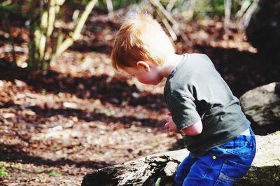 Young boy easter egg hunt in woods