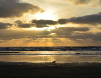 Scenic view of sea against cloudy sky