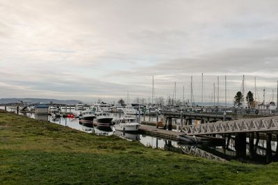 Boats in harbor against sky