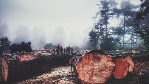 View of people on landscape against sky