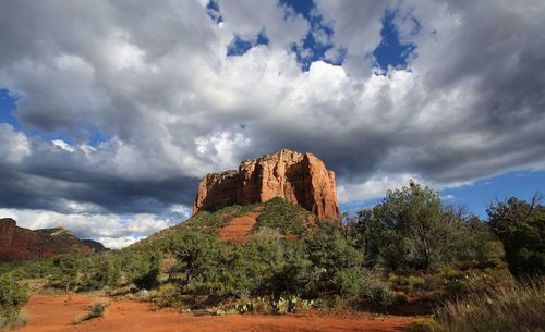 View of trees on landscape against cloudy sky