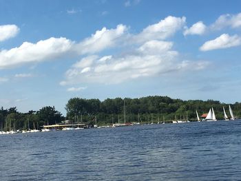 Sailboats sailing in sea against sky