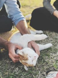Midsection of man holding cat on field