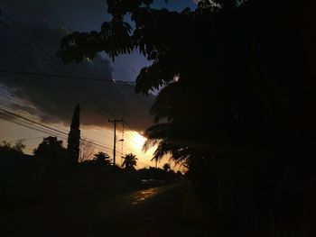 Low angle view of silhouette trees against sky during sunset