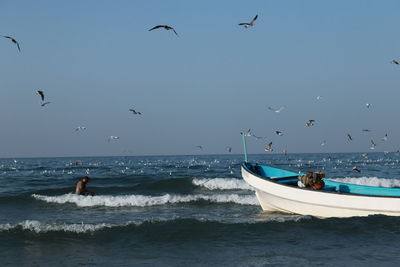 Seagulls flying over sea against sky
