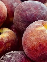 Close-up of apples