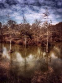 Scenic view of lake against cloudy sky