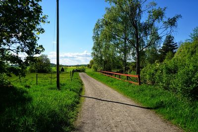 Road amidst trees against sky