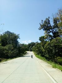 Road amidst trees against sky