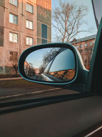 Reflection of trees in side-view mirror