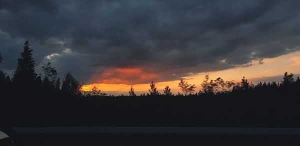 Silhouette trees against sky during sunset