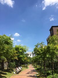 Trees by building against sky