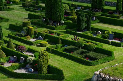 Geometric green modern garden