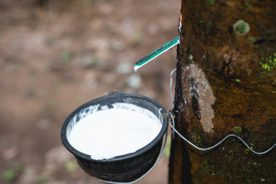 High angle view of drinking water in container