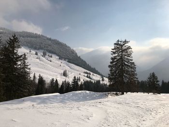 Scenic view of snow covered mountains against sky