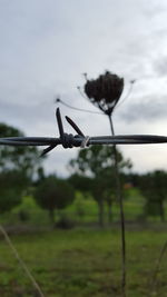 Close-up of barbed wire fence