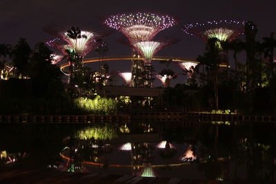 Illuminated trees at night