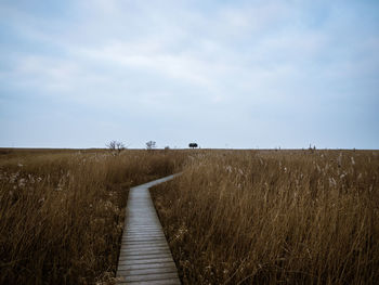 Boardwalk on field against sky