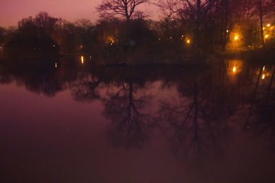 Reflection of trees in lake at night