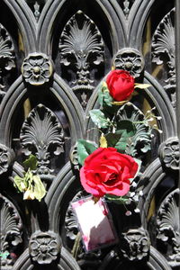 Close-up of red flowers