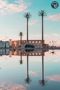 Reflection of palm trees in water