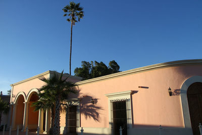 Low angle view of palm trees and building against sky