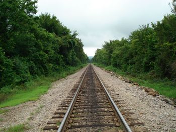 Railroad tracks amidst trees against sky