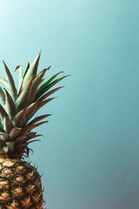 Close-up of pineapple against blue background