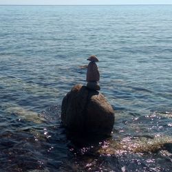 View of bird perching on rock by sea