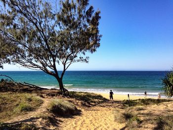 Scenic view of sea against clear blue sky