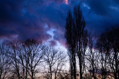 Low angle view of bare trees against sky