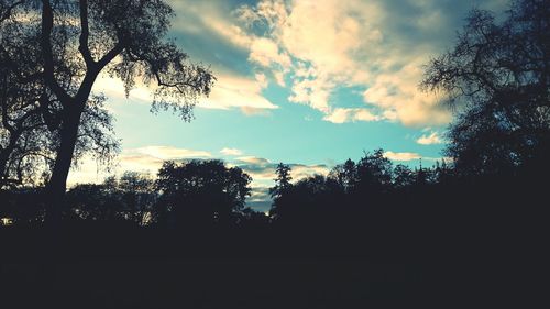 Silhouette of trees against sky at sunset